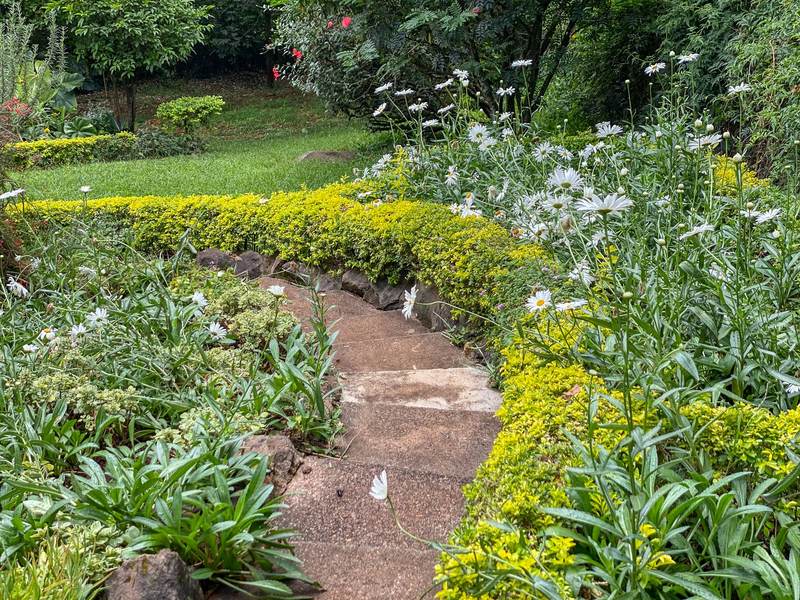 The Cummings - Kitchen